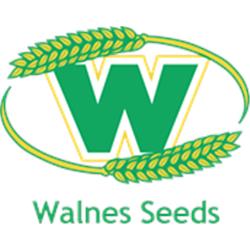 Walnes Seeds